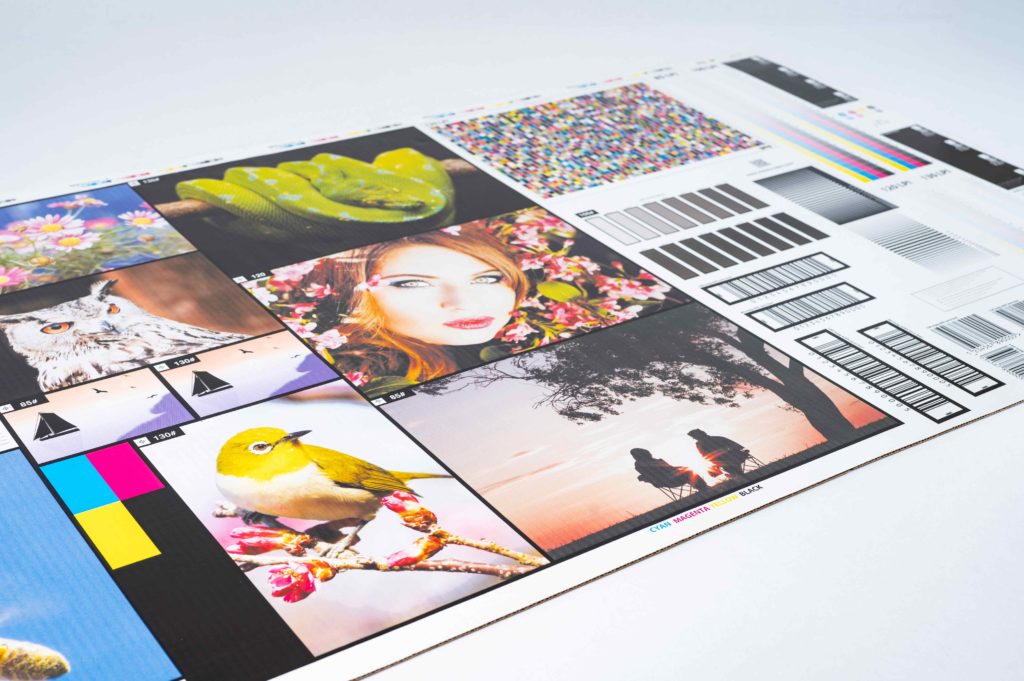250225_Cardboard_Box_Co-278 resize